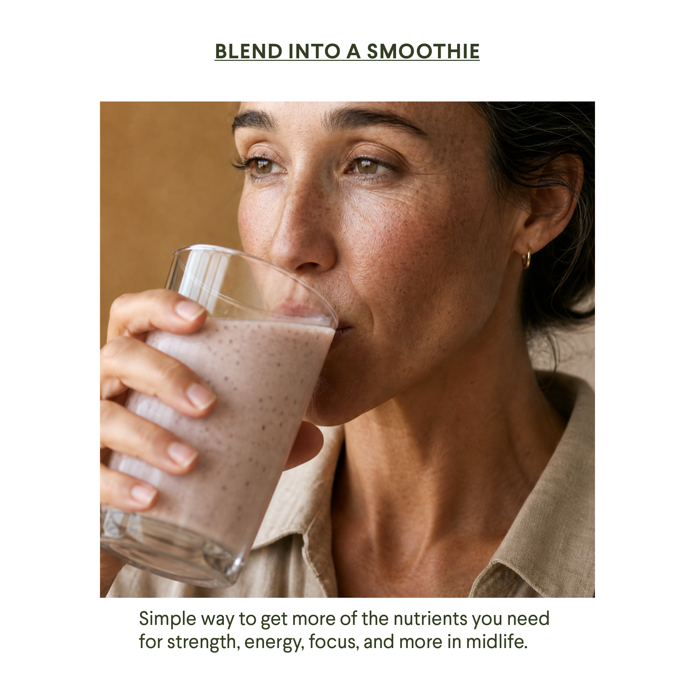 Menomix Plant Protein, Fiber & Super Nutrients / Foundation Smoothie Mix
