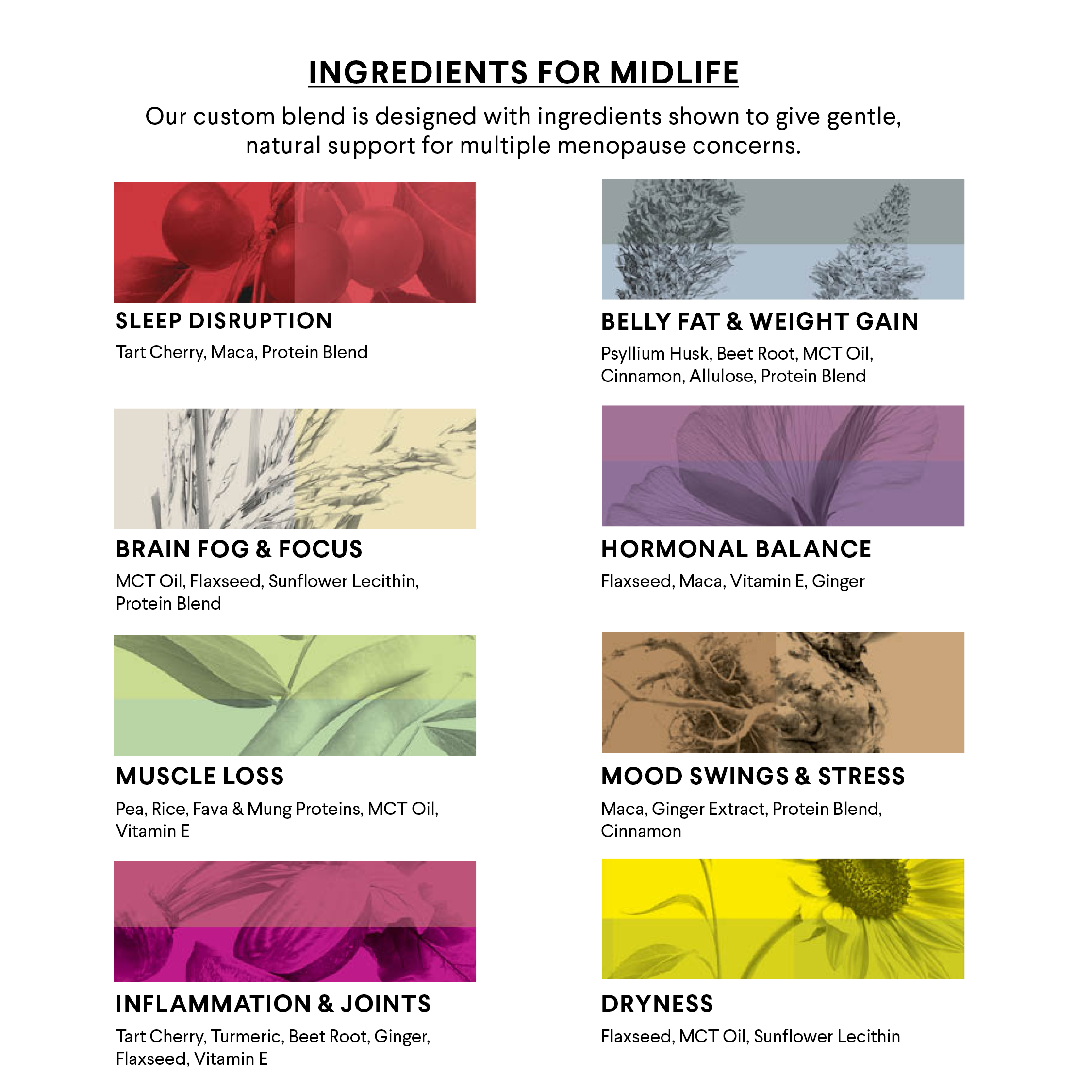 Menomix Whey Protein, Fiber & Super Nutrients / Foundation Smoothie Mix