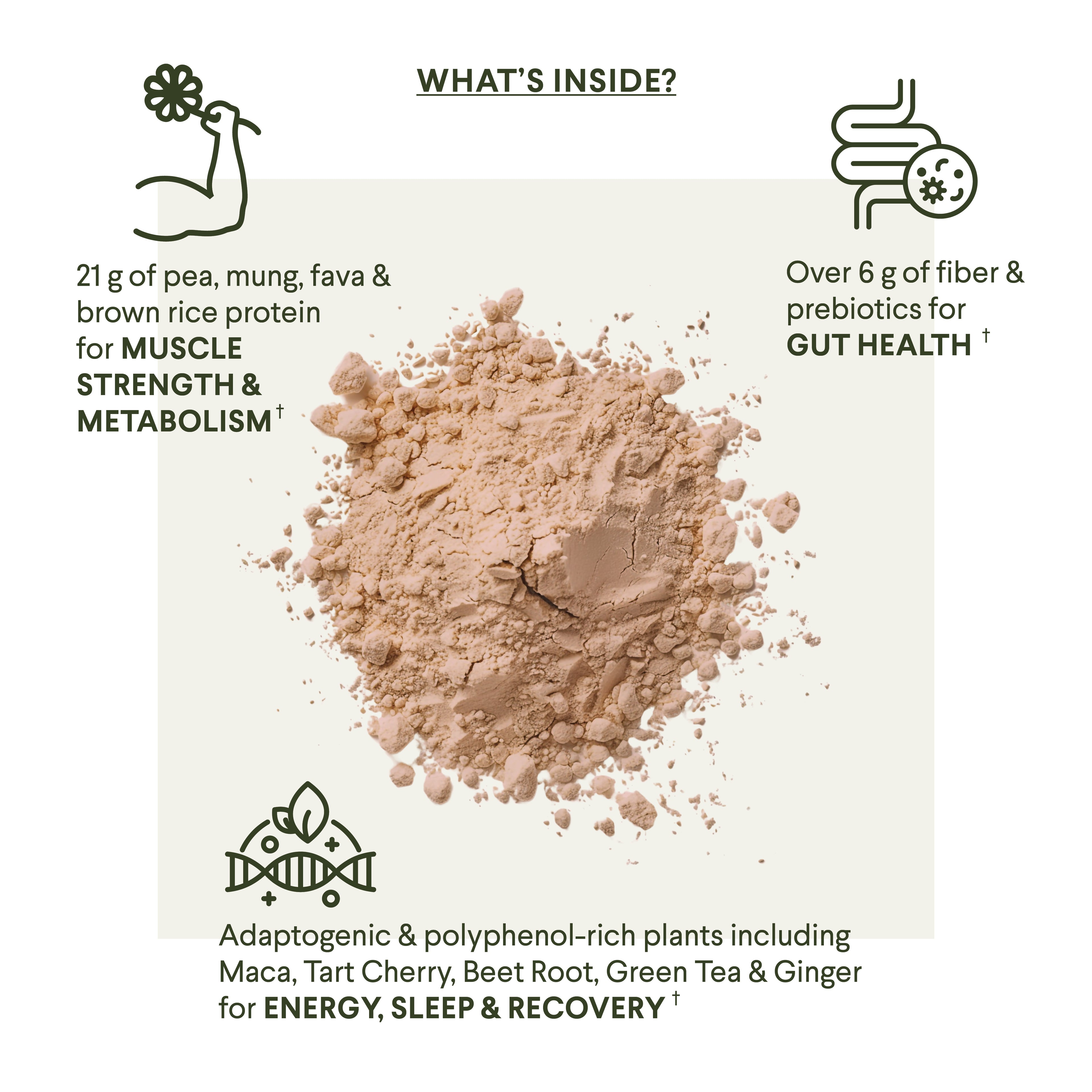 Menomix Plant Protein, Fiber & Super Nutrients / Foundation Smoothie Mix