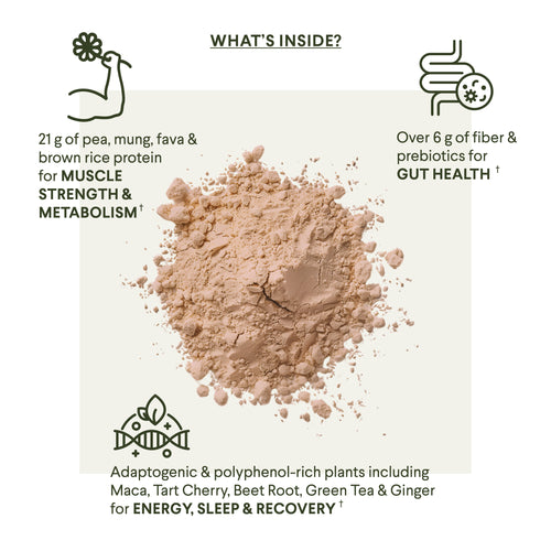 Menomix Plant Protein, Fiber & Super Nutrients / Foundation Smoothie Mix
