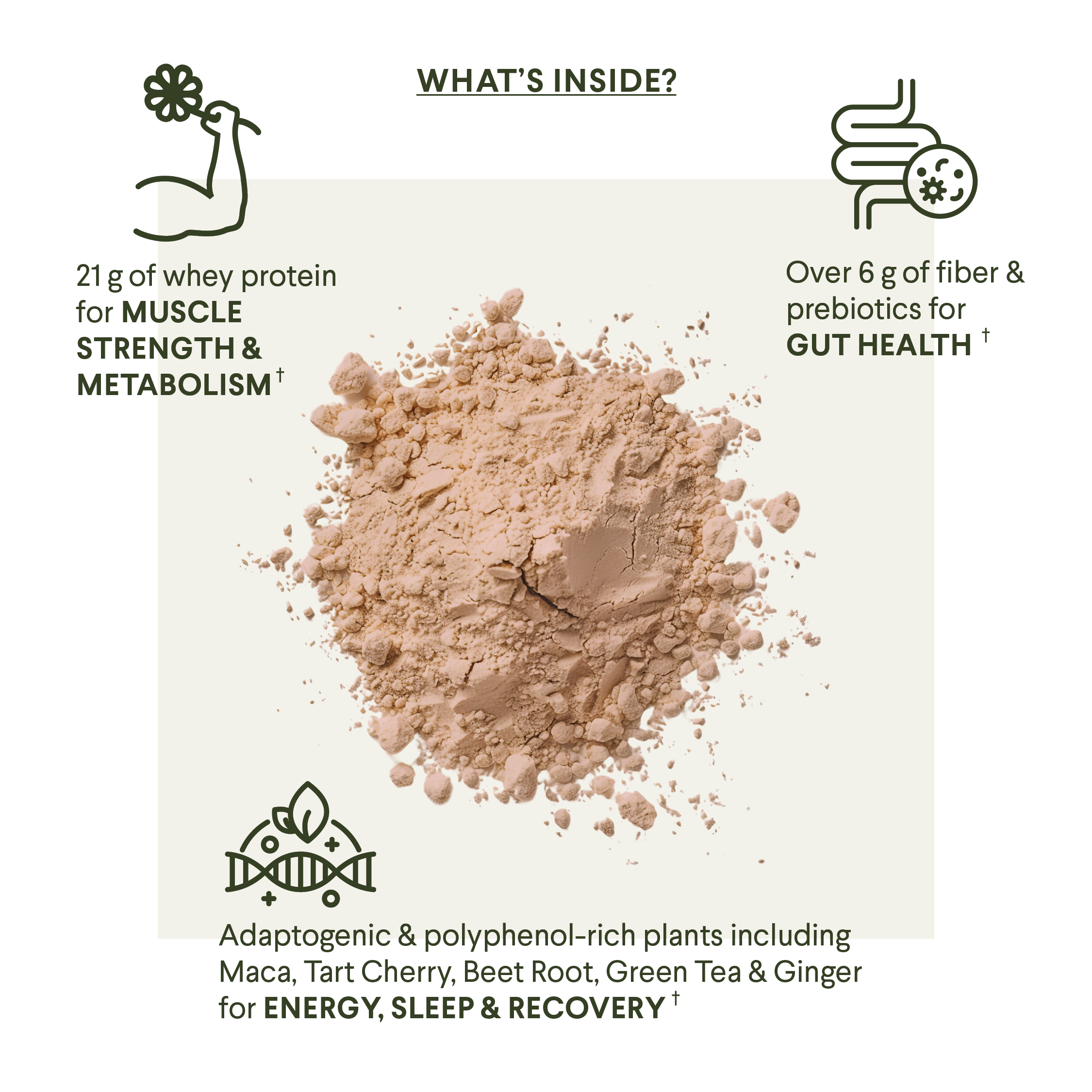 Menomix Plant Protein, Fiber & Super Nutrients / Foundation Smoothie Mix