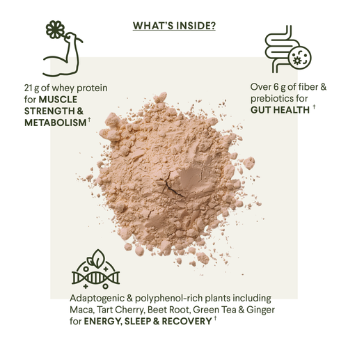 Menomix Plant Protein, Fiber & Super Nutrients / Foundation Smoothie Mix