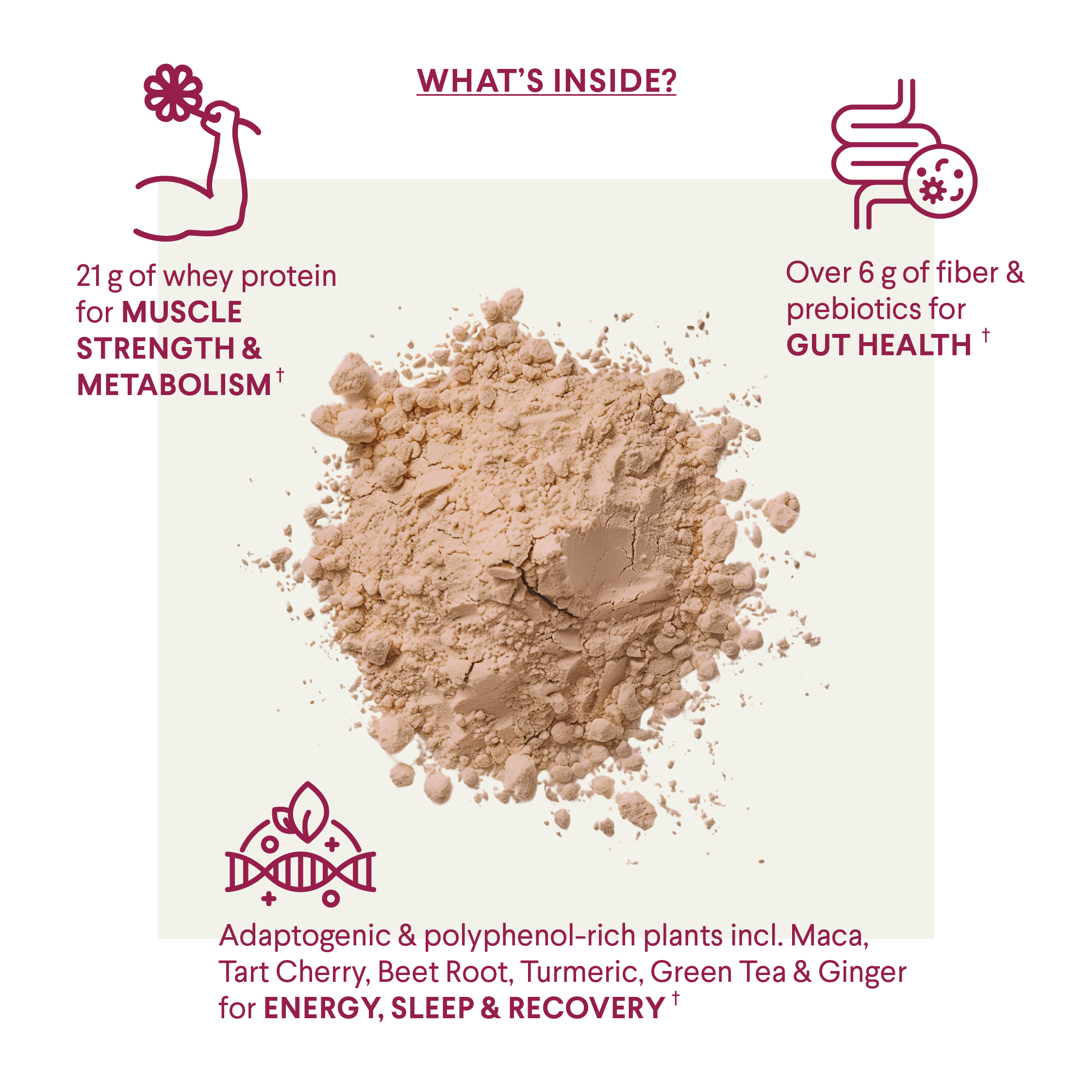 Menomix Whey Protein, Fiber & Super Nutrients / Foundation Smoothie Mix